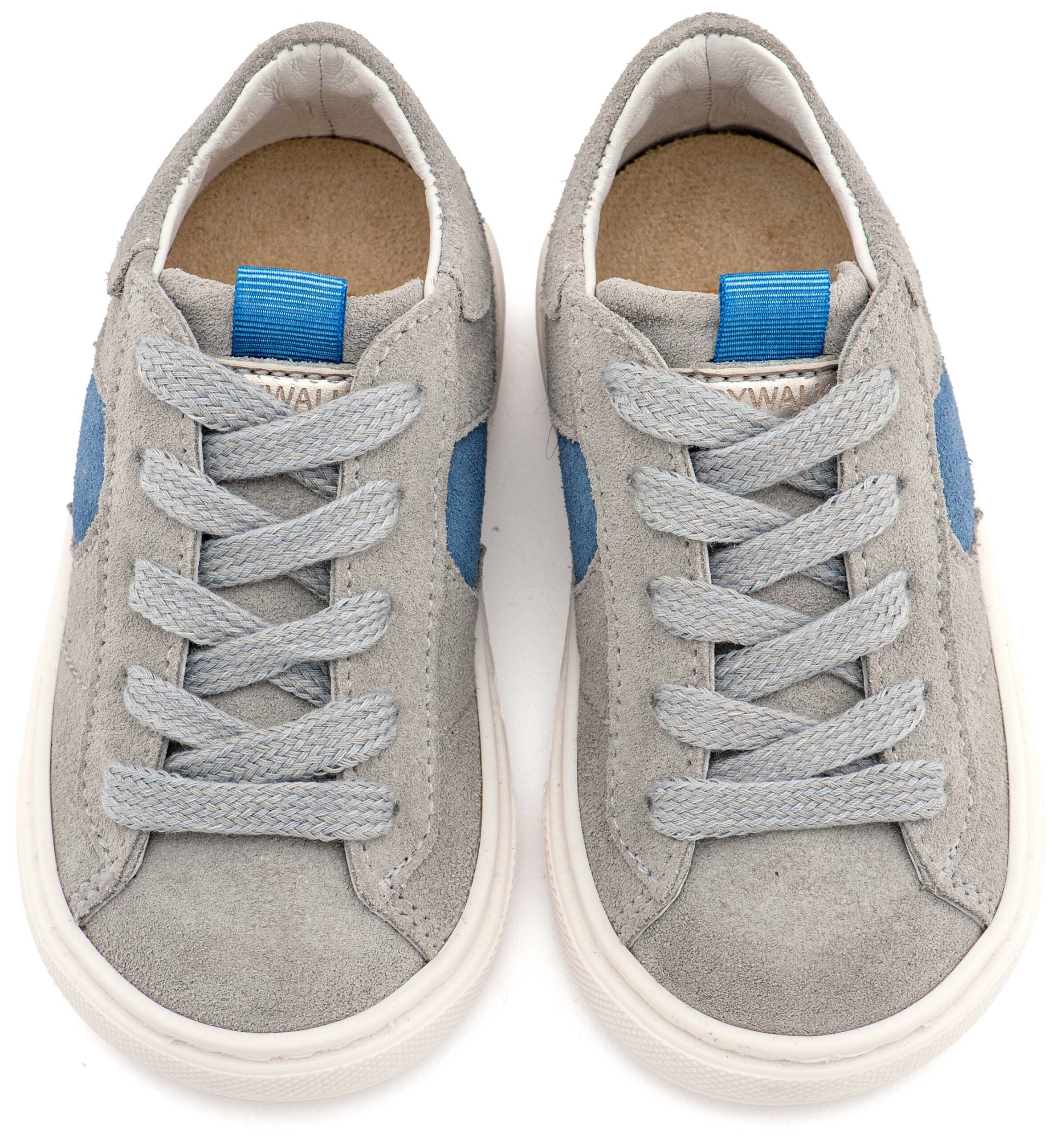 EXC8002-GREY-ROYAL BLUE2-BABYWALKER